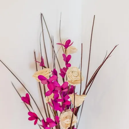 Apartament Ana
